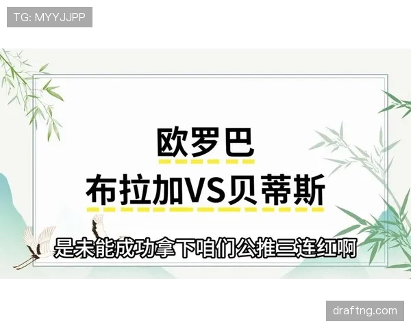 波黑队能否时隔十年重返世界杯？2026美加墨出线前景分析